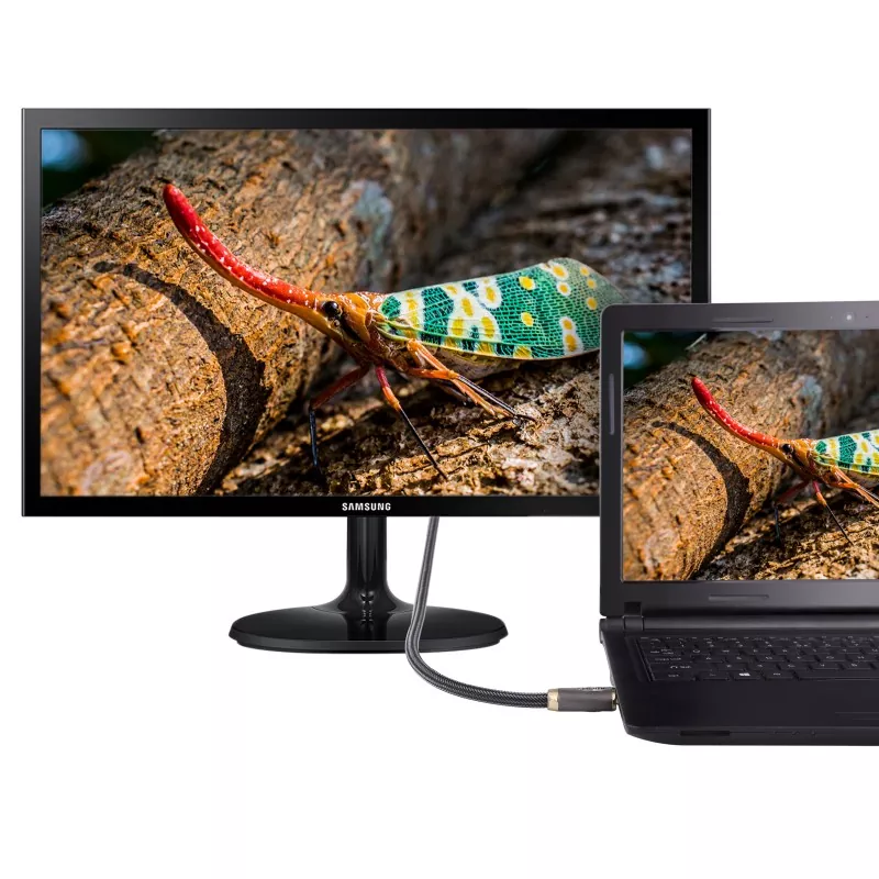 Premium High Speed 4K HDMI Cable for Phone AM to AM